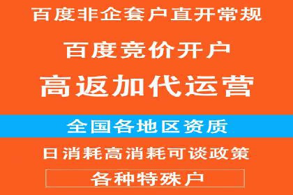 竞价推广代运营服务，打造高效广告投放体系